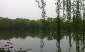 西湖自由行攻略 杭州西湖自由行旅游攻略