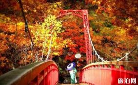 北海道赏枫时间 北海道赏枫地点推荐