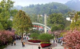 2018重庆南山植物园交通攻略（怎么走+停车场收费+停车场位置）