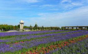 2018六一儿童节石家庄植物园免费吗