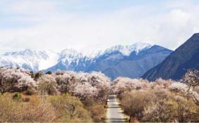 林芝县为什么取名叫巴宜区 从拉萨怎么去林芝 去林芝旅游哪些景点必去